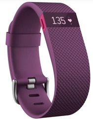 ｆｉｔｂｉｔ heartbeat measure watch